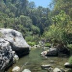 A clear stream flows between large rocks and dense green trees under a bright blue sky, with a few people visible in the distance near the water’s edge.