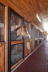 Private stables and arena in La Zagaleta, Benahavís for equestrian property and the best hacking routes Benahavis